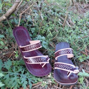 Paharika Veer Rustic Flats